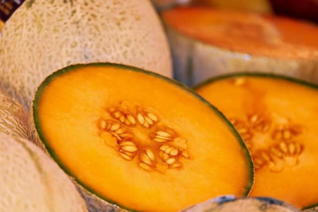 Dieta estiva: meglio anguria o melone?