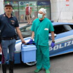 Trapianto di rene ad "alta velocità" sulla Lamborghini della polizia