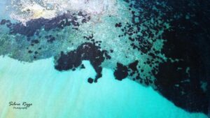 Nel mare di Montalbano gli scogli disegnano una cartina dell'Europa