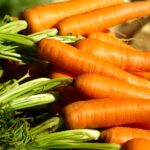 Ispica, 4 nuove varietà per la carota novella, ora anche pronta al consumo