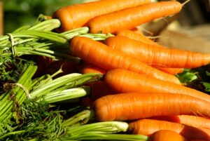 Ispica, 4 nuove varietà per la carota novella, ora anche pronta al consumo