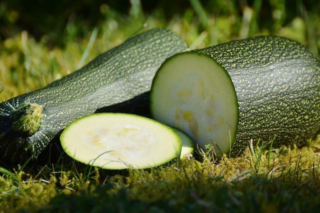 Dieta delle zucchine