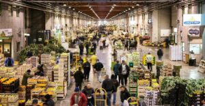 Inflazione? Pomodoro Piccadilly di Ragusa a 50 cent