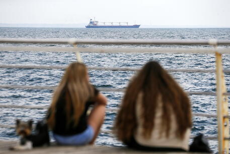 Nave cereali da Odessa arrivata sulla costa turca
