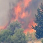 Squadre da terra e dal cielo per domare le fiamme di possibile origine dolosa
