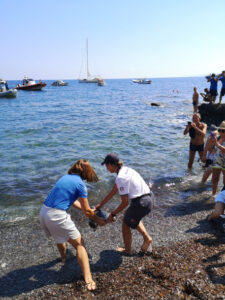 Liberata in mare dopo cure Caretta caretta a Marettimo