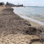 E questa sarebbe la spiaggia di Montalbano?