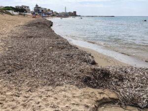 E questa sarebbe la spiaggia di Montalbano?