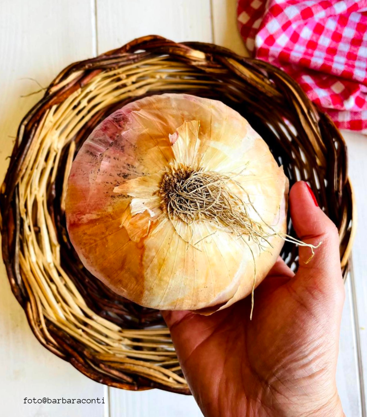 “Sagra della Cipolla”, ultima sera per degustare la Regina di Giarratana