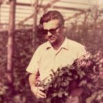 Floricoltura a Scicli, i pionieri
