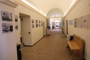 Musei: Spallino presidente del naturalistico di Castelbuono