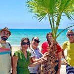 M5s:20 palme a Marina Acate con taglio stipendi deputati Ars
