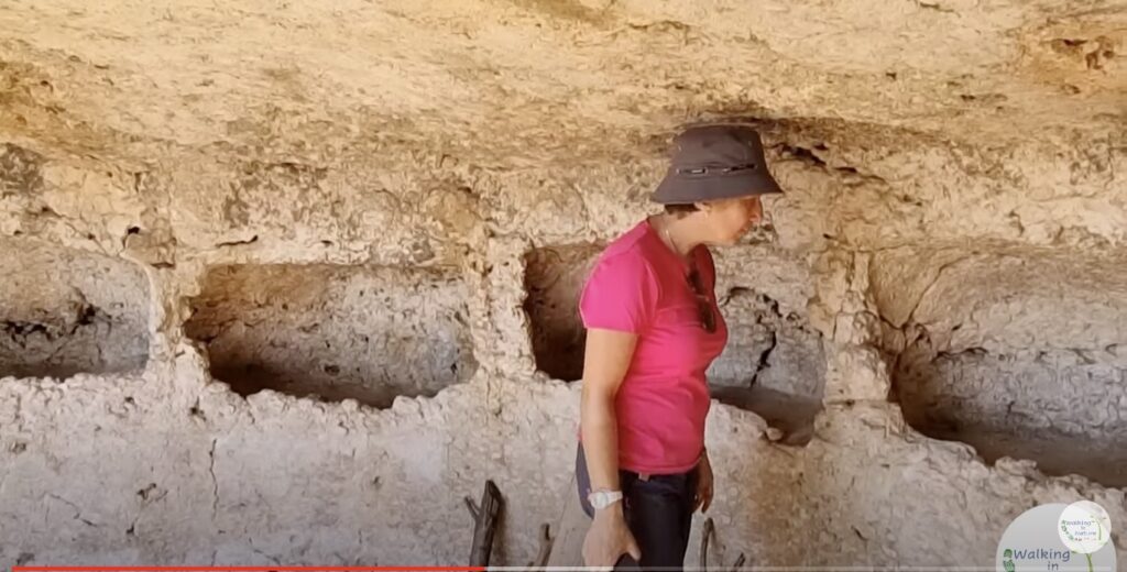 La necropoli di Thapsos a Priolo, un VIDEOreportage