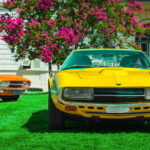 Auto, esposte 6 vetture Lmx Sirex, Gran Turismo made in Torino