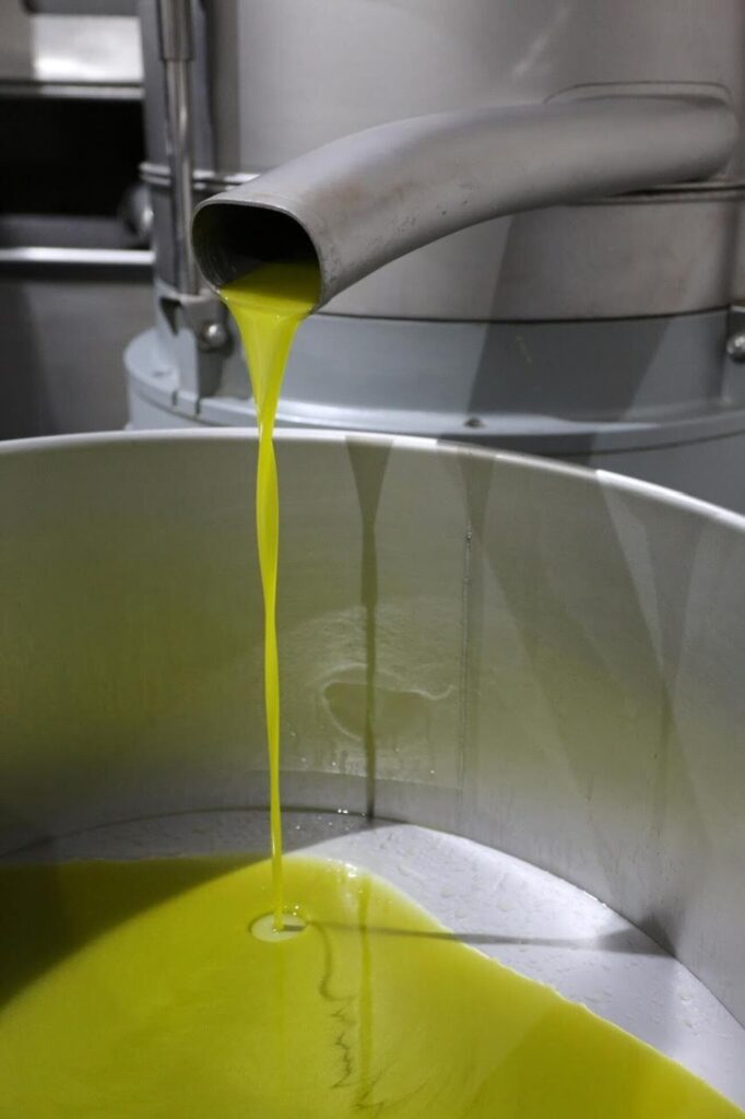 Stagione olearia, Tenuta Chiaramonte a Ragusa apre frantoio