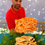 Il cercatore di funghi di carrubo Vincenzo La Cognata stupisce ancora