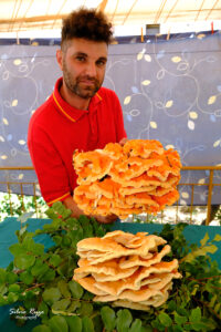Il cercatore di funghi di carrubo Vincenzo La Cognata stupisce ancora