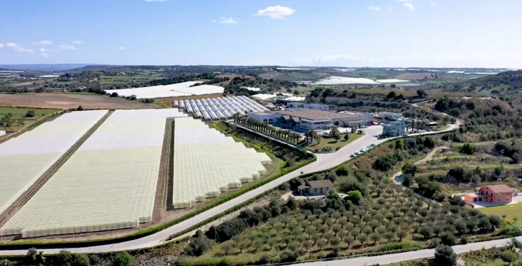 Verdura e ortaggi, a Ispica la crisi accorcia il raccolto pianificato