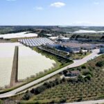 Verdura e ortaggi, a Ispica la crisi accorcia il raccolto pianificato