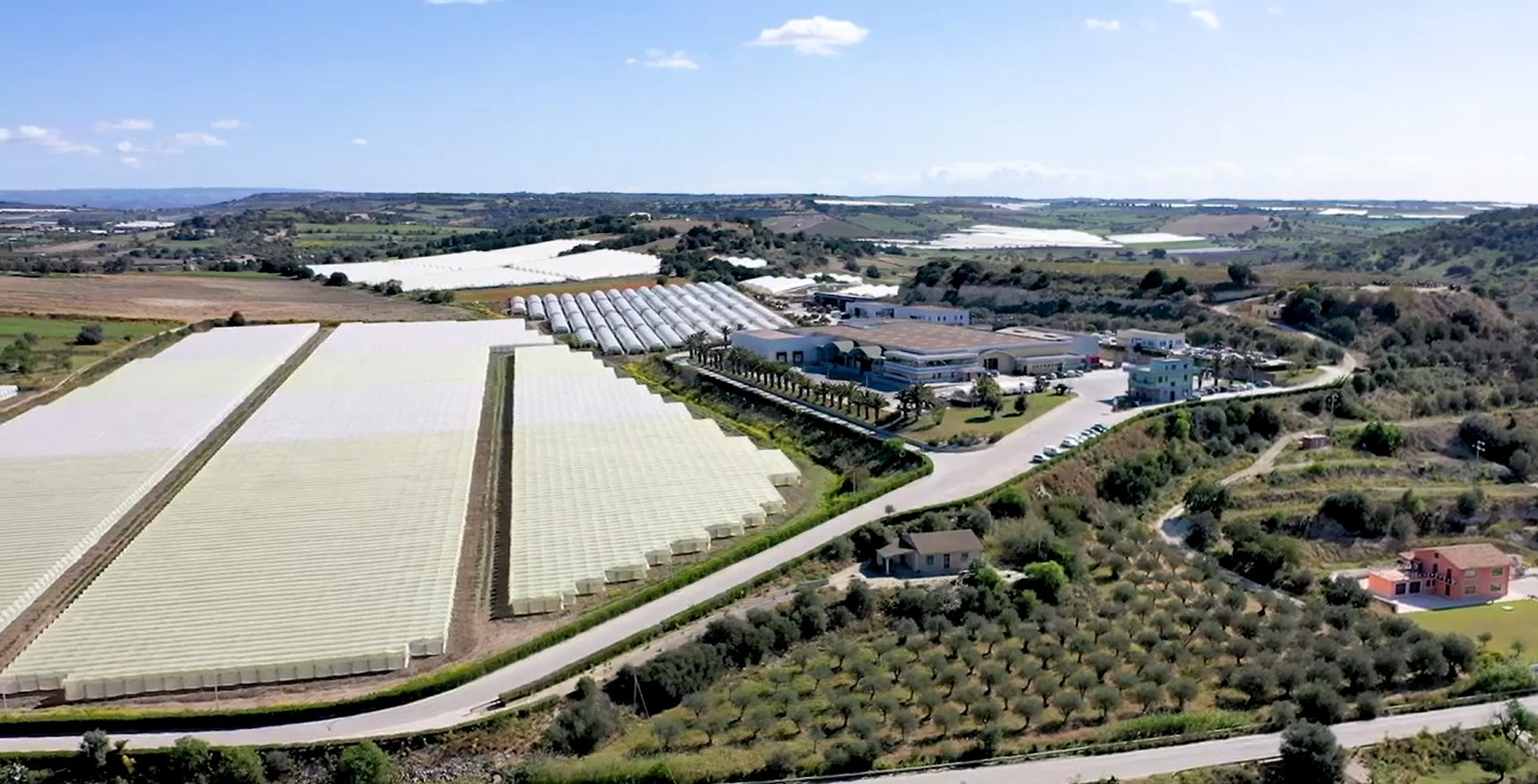 Verdura e ortaggi, a Ispica la crisi accorcia il raccolto pianificato