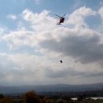 Toro volante in cielo, appeso alla fune dell'elicottero VIDEO