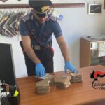 Panetti di hashish in spiaggia Castellammare del Golfo