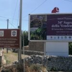 Sagra della vendemmia a Pedalino dal 30 settembre al 2 ottobre
