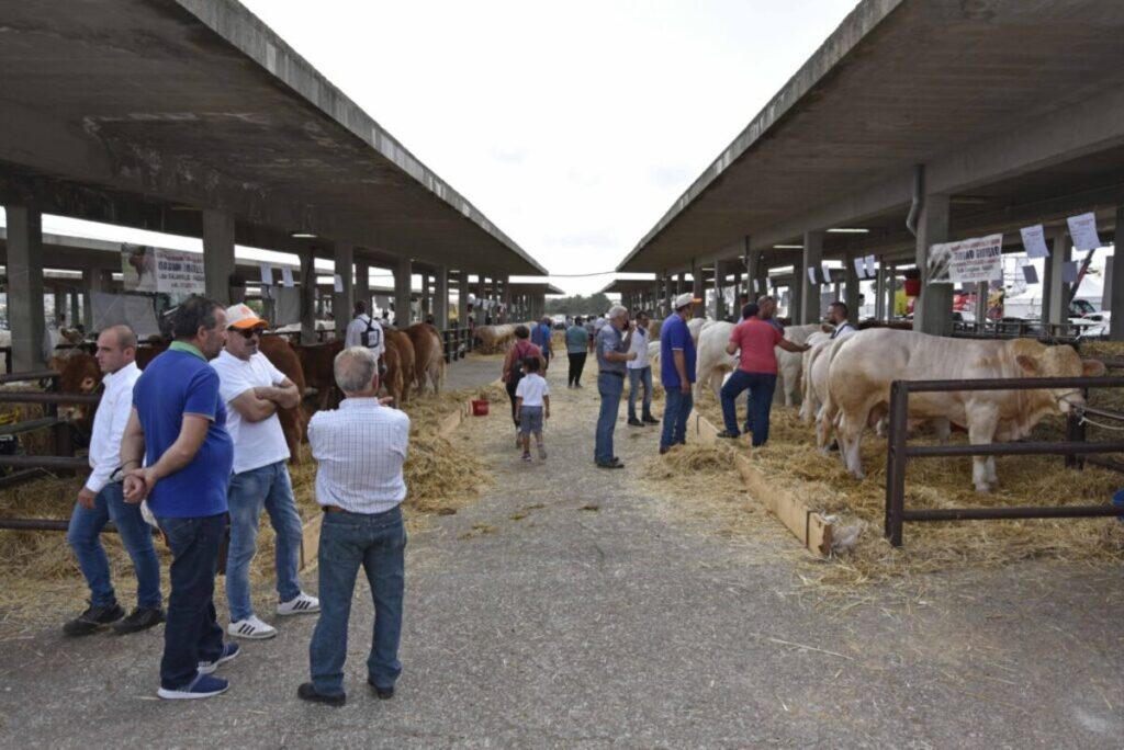 Fiera Agroalimentare di Ragusa, dal 30 settembre al 2 ottobre