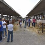 Fiera Agroalimentare di Ragusa, dal 30 settembre al 2 ottobre