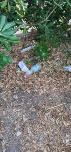 Qualcuno metta le telecamere dentro la villa comunale di Pozzallo