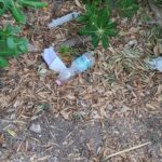 Qualcun metta le telecamere dentro la villa comunale di Pozzallo