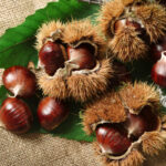 Autunno: è tempo di castagne, frutti ricchi di incredibili benefici