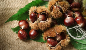 Autunno: è tempo di castagne, frutti ricchi di incredibili benefici