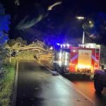 Tre feriti su Catania-Messina dopo caduta di un albero
