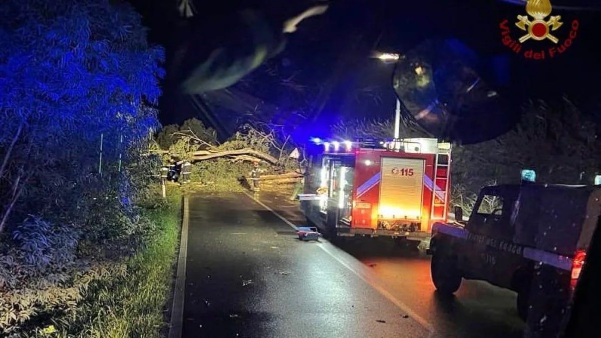 Tre feriti su Catania-Messina dopo caduta di un albero