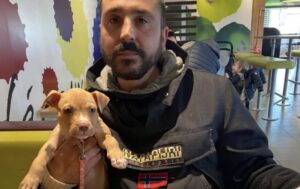 Ispica, con la moto contro un palo, muore Salvo Gennaro, 38 anni