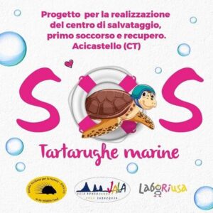 Crowdfunding per realizzare Centro recupero Caretta caretta