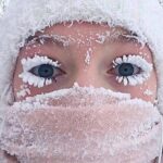 Sentite freddo? Tranquilli, è siberiano