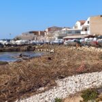 Punta Braccetto e Casuzze, spiagge invase dalle canne