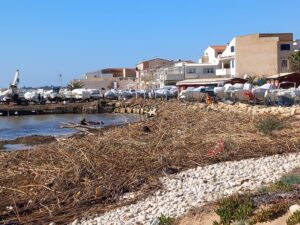 Punta Braccetto e Casuzze, spiagge invase dalle canne