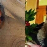 Chiesta perizia psichiatrica per l’omicida di Giarratana