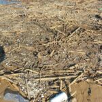 Povera Punta Braccetto, dimenticata da Santa Croce e Ragusa