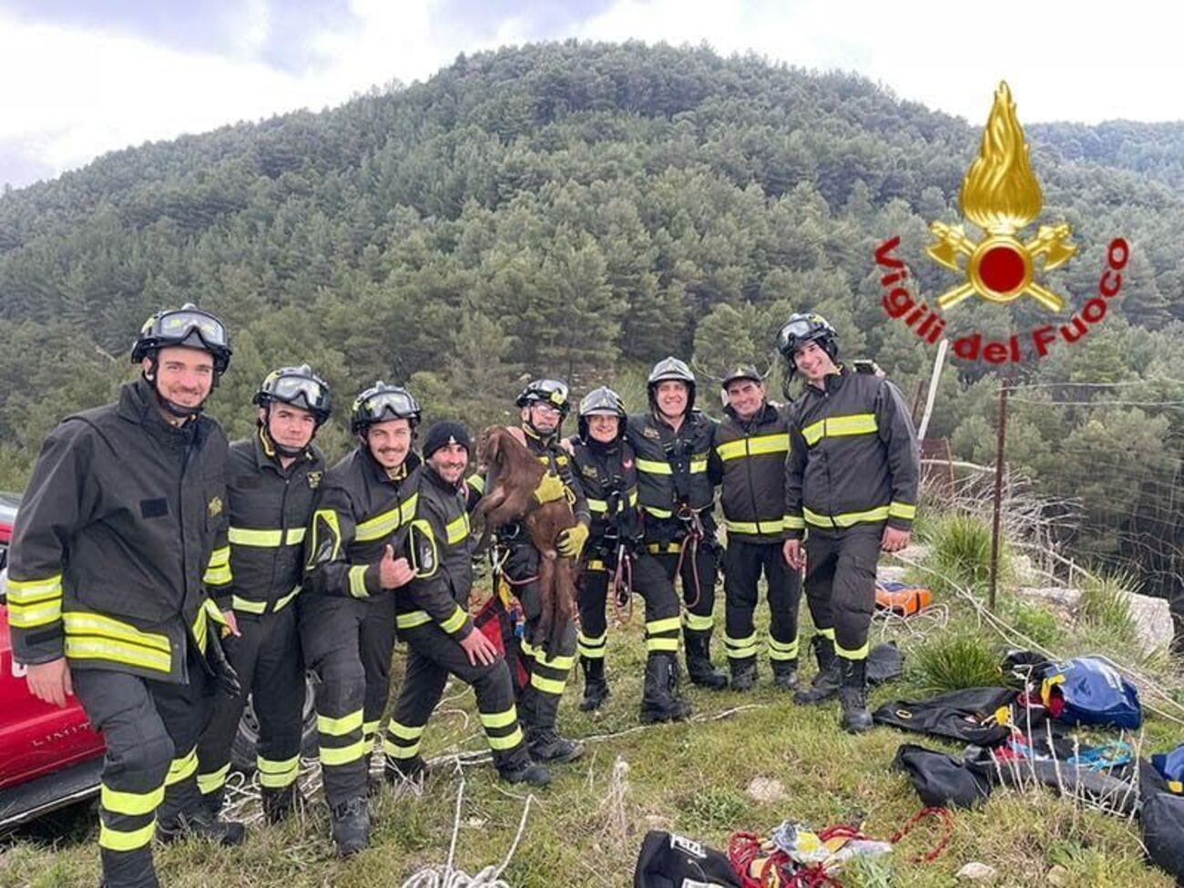 Capretta precipita in un dirupo, salvata dai vigili del fuoco