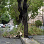 Maltempo: Protezione Civile, temporali su Lazio e Campania