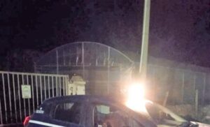 Sventato furto in un'azienda agricola a Macconi