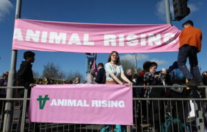 Animalisti irrompono nell'ippodromo di Liverpool, 118 arresti