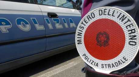 Due mucche sulla A18 si scontrano con tre auto, quattro feriti