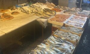 Blitz al mercato di BallarÃ², sequestrati 940 kg di pesce