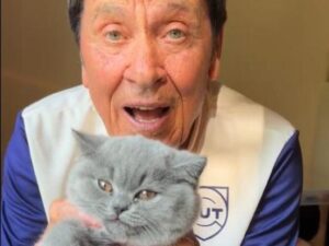 Gianni Morandi ha preso un gatto, si chiama Lucio, come Lucio Dalla