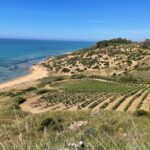 Menfi CittÃ  Italiana del Vino,al via edizione tecnica Inycon